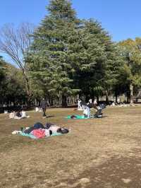 🇯🇵 Yoyogi Park 