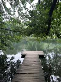 Summer Hangzhou in green