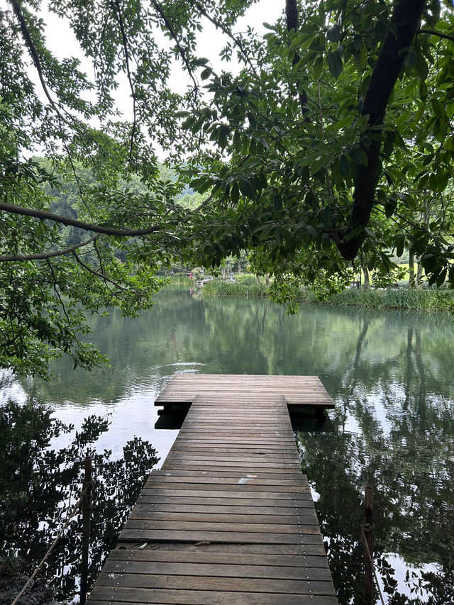 Summer Hangzhou in green