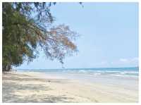 พักกายพักใจ @ อุทยานแห่งชาติหาดวนกร