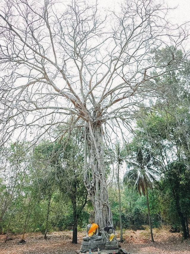 อุทยานเมืองเก่าพิจิตร  (จังหวัด พิจิตร)