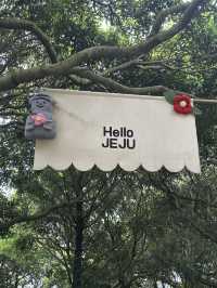 아름다운 인생샷을 원한다면, 제주 카멜리아힐 🌺♥️