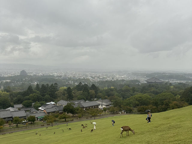 若草山：在奈良的自然懷抱中，享受壯麗的景色與心靈的寧靜！