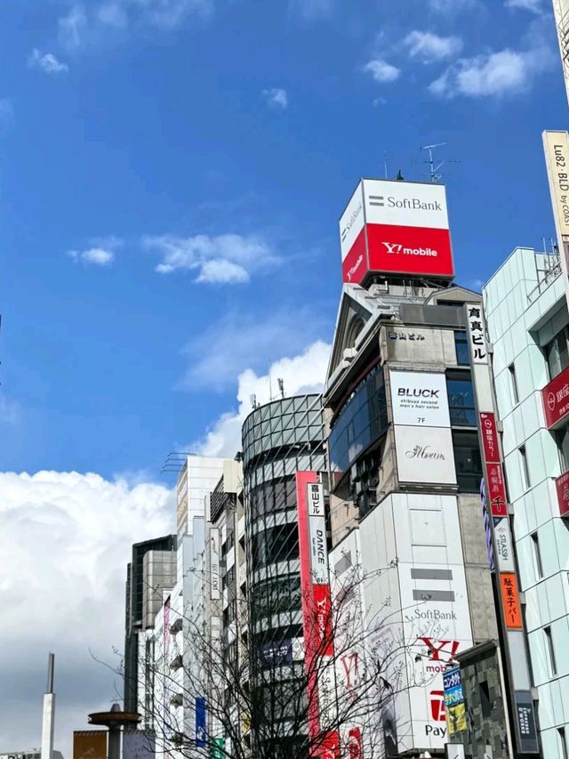 🇯🇵✨ Tokyo – A Dazzling Fusion of Tradition & Tomorrow! ✨🏙️