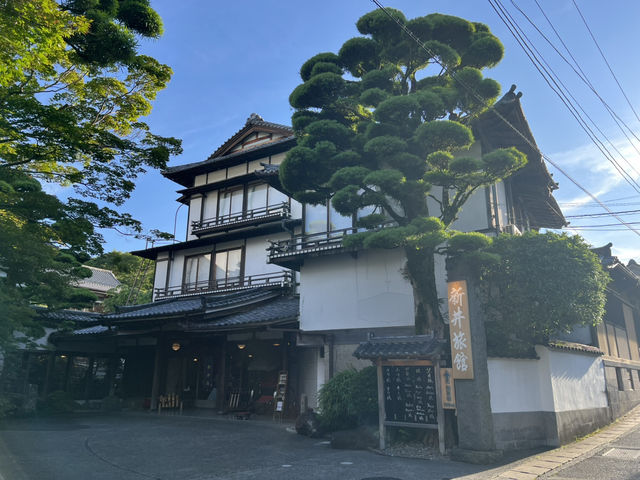 新井旅館 arai 修善寺溫泉