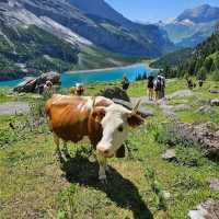 Oeschinensee (Kandersteg)