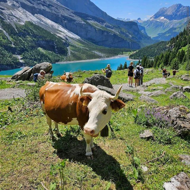 Oeschinensee (Kandersteg)