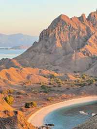 Forget Bali — Komodo Island is the Real Hidden Gem of Indonesia! 🇮🇩🐉