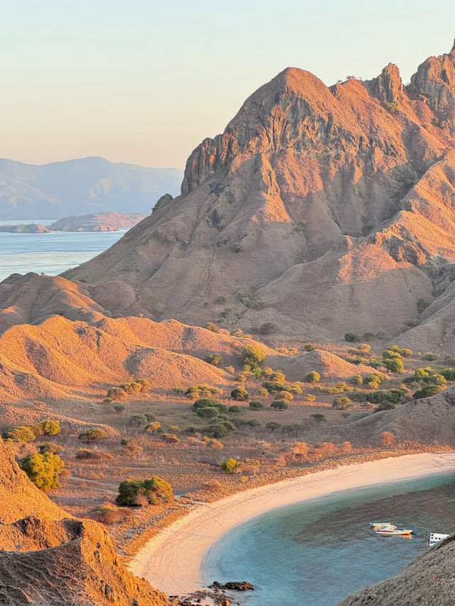 Forget Bali — Komodo Island is the Real Hidden Gem of Indonesia! 🇮🇩🐉