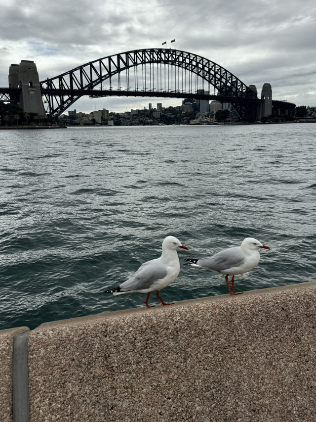 🇦🇺✨ 4D3N in Sydney | Chill City Life, Beaches & Coffee Stops ☕🏖️🌿