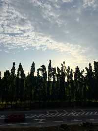 Whispers of Dawn: A Sunrise Stroll in Port Dickson