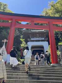 🌊⛩️🐾 Enoshima – Island of Shrines, Cats, and Sea Breeze