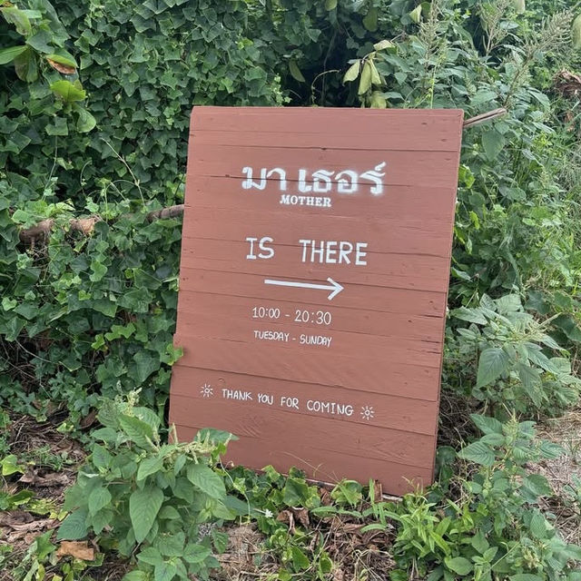 🌿 Mother Cafe 