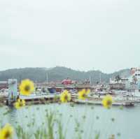 เที่ยวเกาะศิลปะ Naoshima & Teshima ผ่านกล้องฟิล์ม