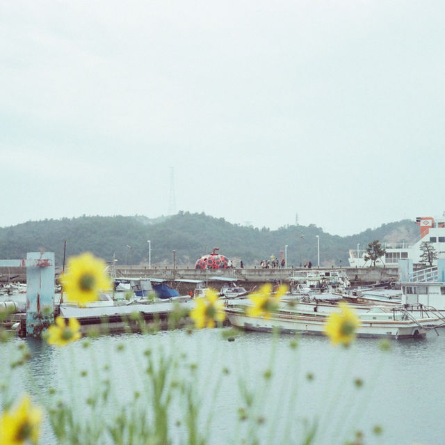 เที่ยวเกาะศิลปะ Naoshima & Teshima ผ่านกล้องฟิล์ม