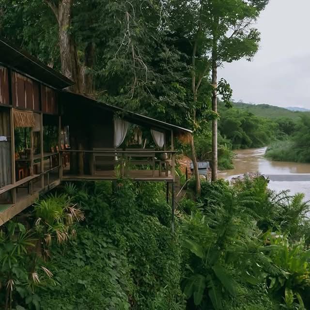 🌳☀️ ไร่ฉัตรดนัย | คาเฟ่กลางหุบเขา x ลำธารน้ำใส