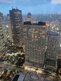 Tokyo - a beautiful city of contrasts 