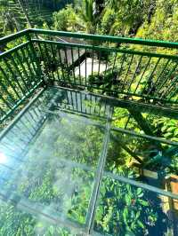 Discover the Charms of Alas Harum Bali
