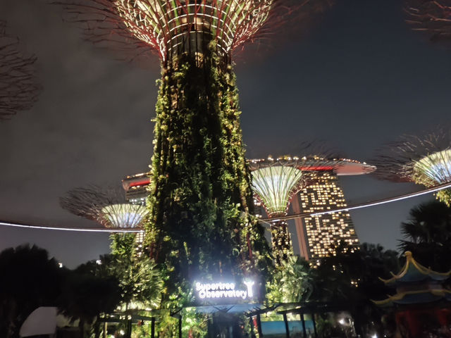 新加坡-濱海灣天空樹燈光秀