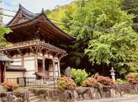 Kyuanji Temple: Ikeda’s Hidden Zen Oasis – A Solo Traveler’s Retreat from Osaka’s Chaos"** 🍃🏯  
