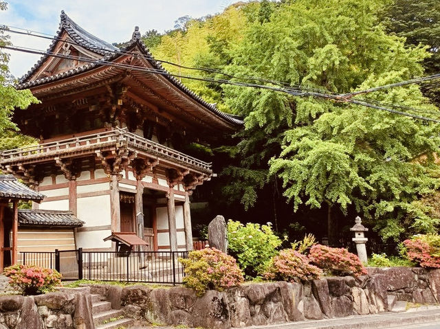 Kyuanji Temple: Ikeda’s Hidden Zen Oasis – A Solo Traveler’s Retreat from Osaka’s Chaos"** 🍃🏯  