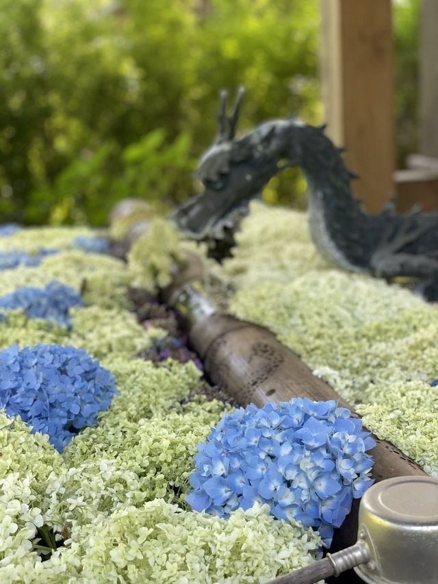 【群馬】映えスポット多数！群馬を代表する花寺