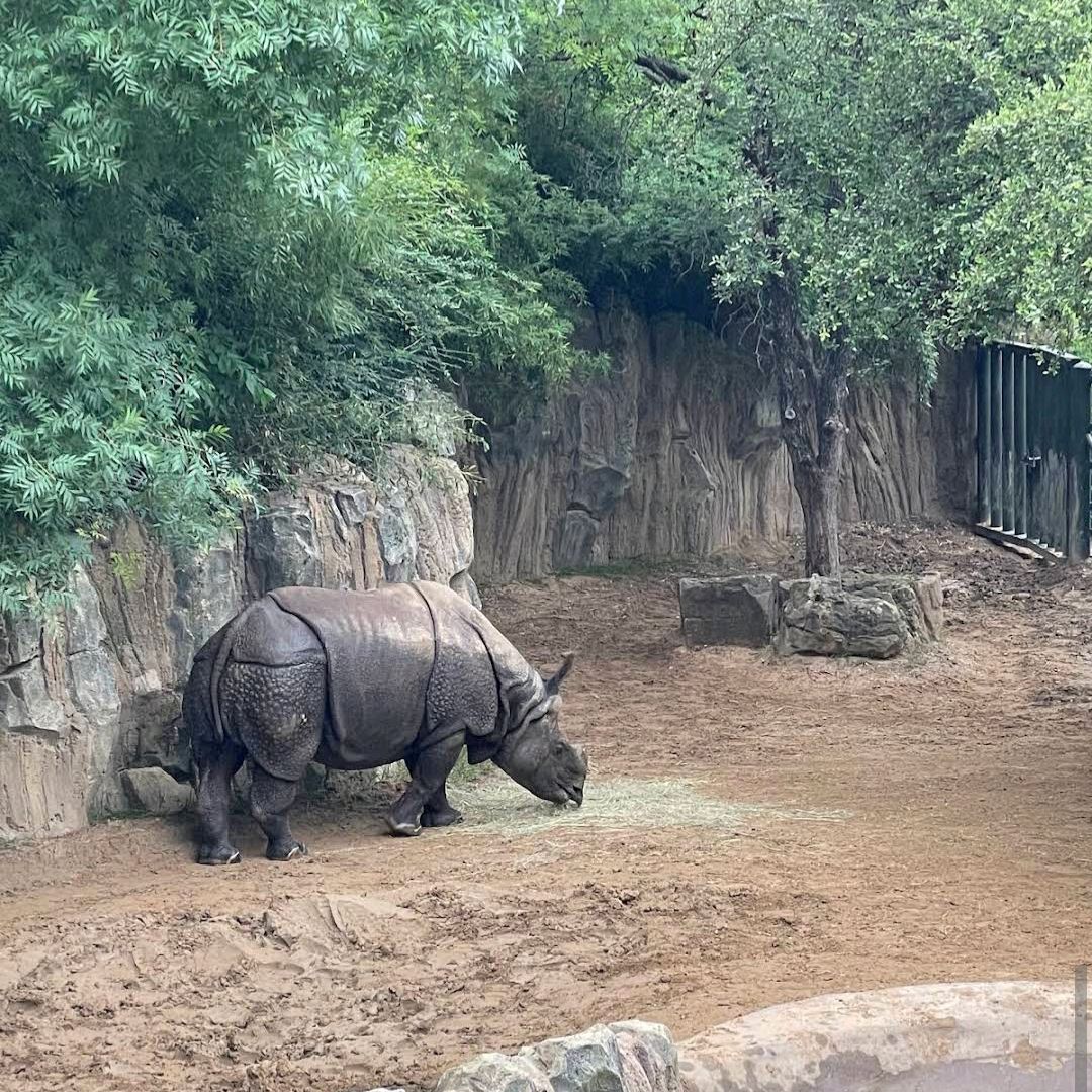 Fort Worth Zoo