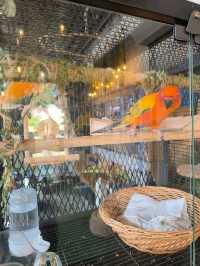 Tea and Tranquility: My Favourite Desaru Café