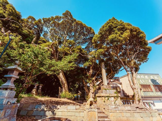 Summer Day at Ōarai Isosaki Shrine: A Breathtaking Oceanfront Escape