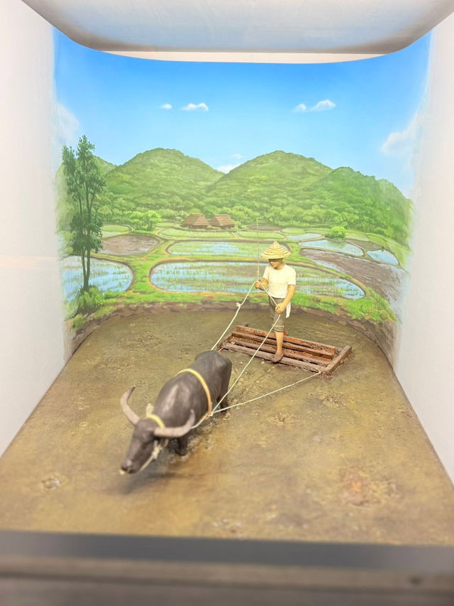 Okinawa Prefectural Museum & Art Museum – A Cultural Gateway to the Ryukyu Islands** 🏛️