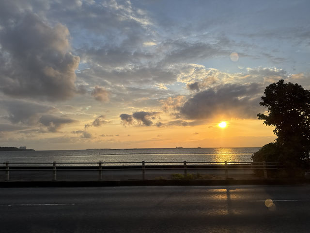 Okinawa Churaumi Aquarium