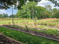 Tyler Rose Garden – Tyler