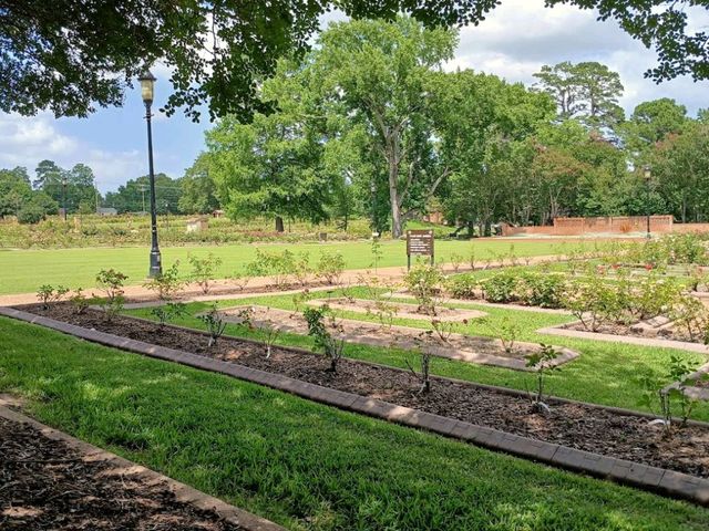 Tyler Rose Garden – Tyler