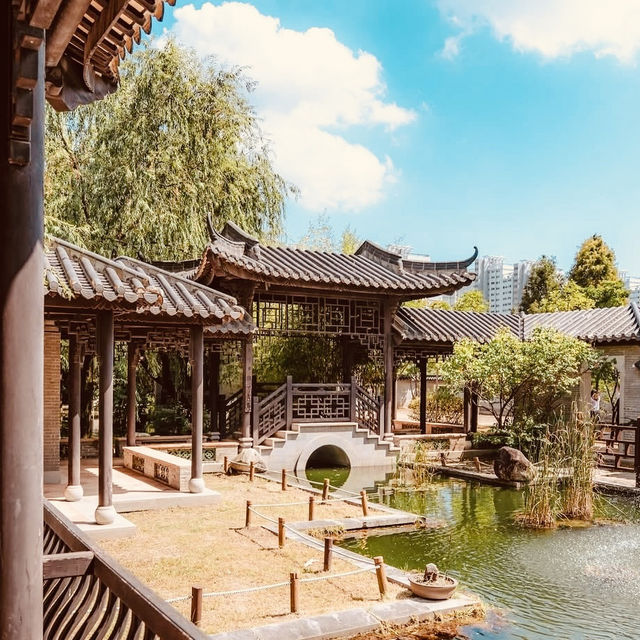 Solo Serenity at Wolhwawon Garden: Seoul’s Secret Chinese Oasis** 🌸🏯  