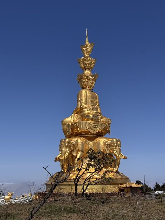 1 Day trip to the sacred Mt. Emei 
