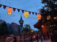 【ディズニーシー17時からの楽しみ方🎡🌙】
