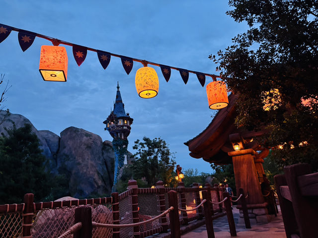 【ディズニーシー17時からの楽しみ方🎡🌙】