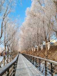 Jilin Rime: A Thousand Miles of Silver Frost (Morning Post Five-Star Marvel)