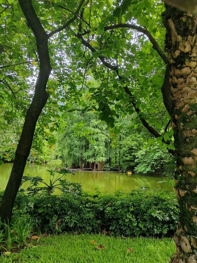 綬溪公園 ＠ 心曠神怡