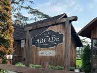 A Walk Through Whimsy – Araya Arcade Garden 