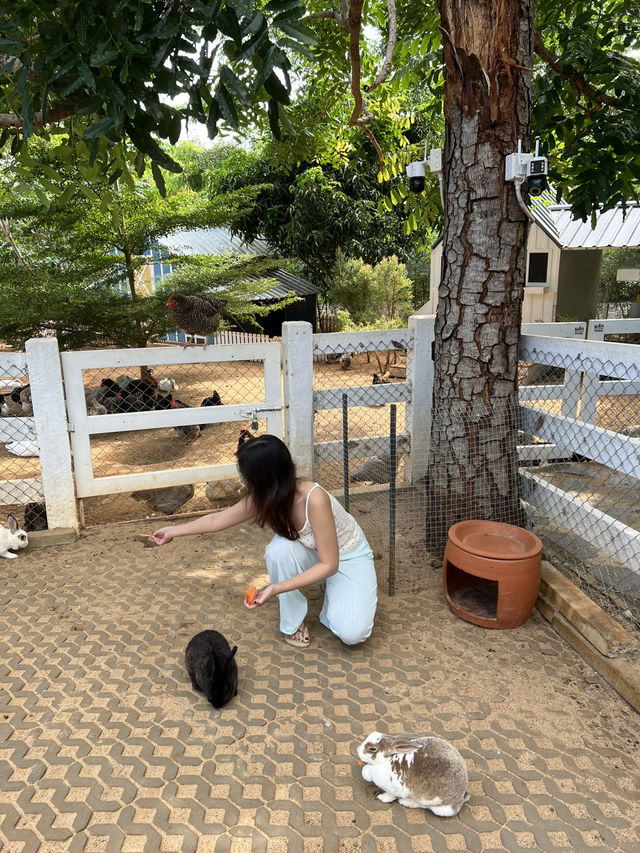 Bucolic, a lovely place in Khao Yai 🇹🇭