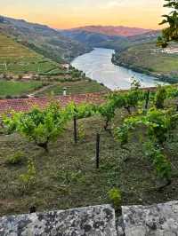 Quinta do Crasto, Douro Valley: Heritage, Hills, and Heavenly Wines 