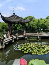 A Vision of Serenity 