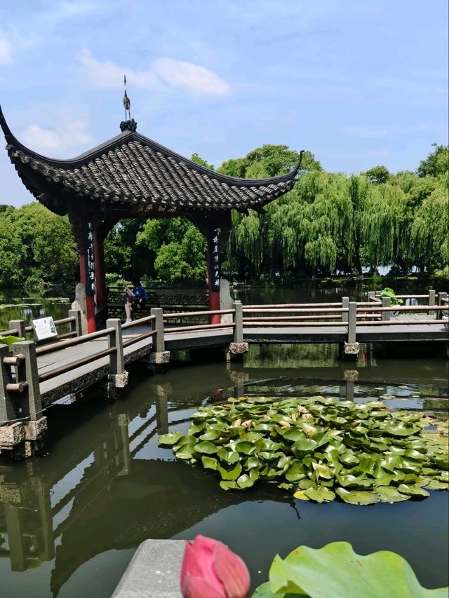 A Vision of Serenity 