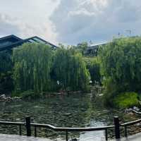🏙️ Elegant Flavors & Urban Chill – Mont Kiara + KL’s Elegant Inn