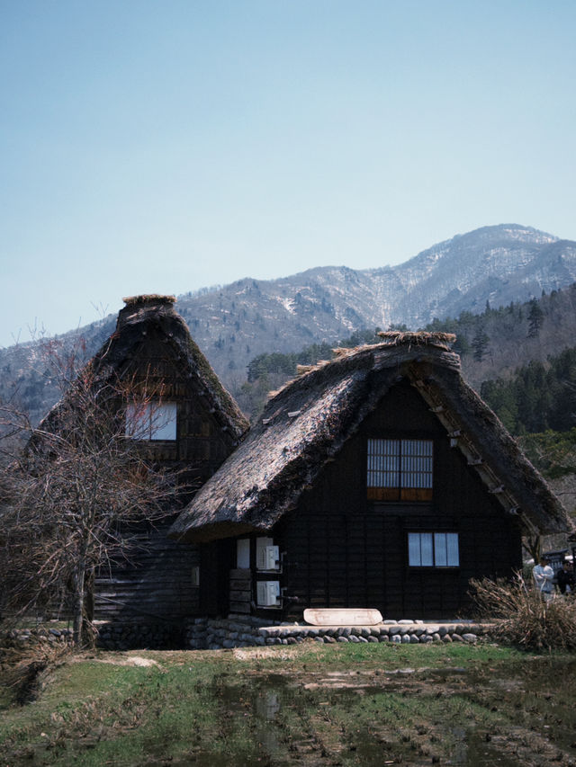 🏡 หมู่บ้าน Shirakawa-go – โลกนิทานมีอยู่จริง ❄️
