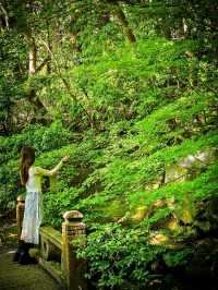 心に映る、青もみじのミラーワールド🪞🍃