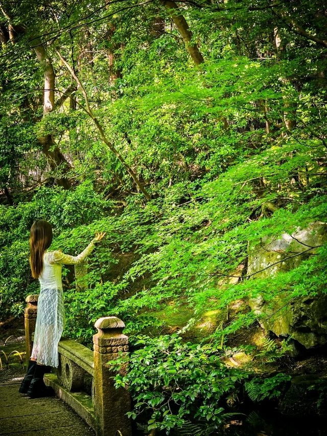 心に映る、青もみじのミラーワールド🪞🍃