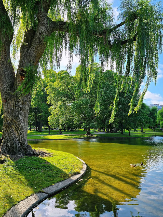 Sunrise Stroll Through America’s Oldest Park 🇺🇸🌳