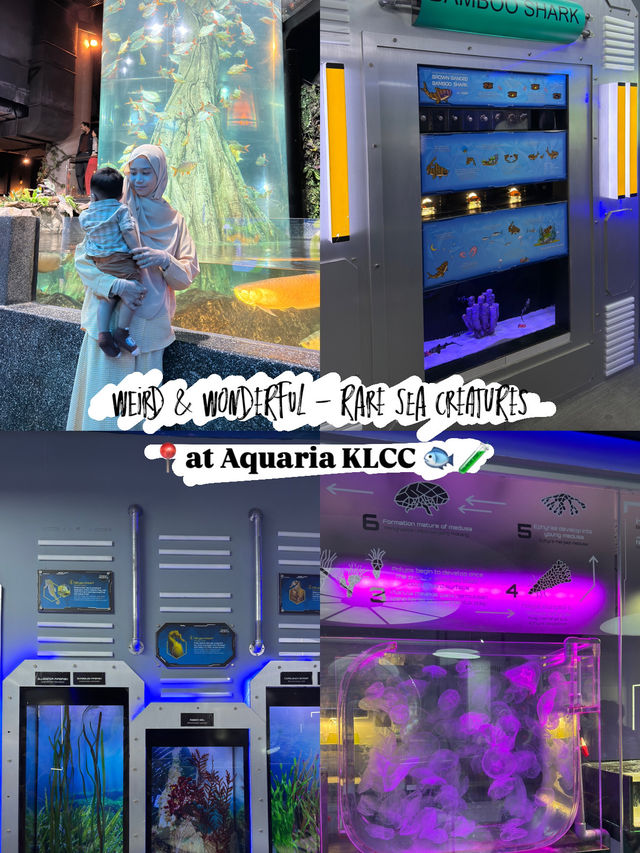 Weird & Wonderful — Rare Sea Creatures at Aquaria KLCC 🐟🧪
